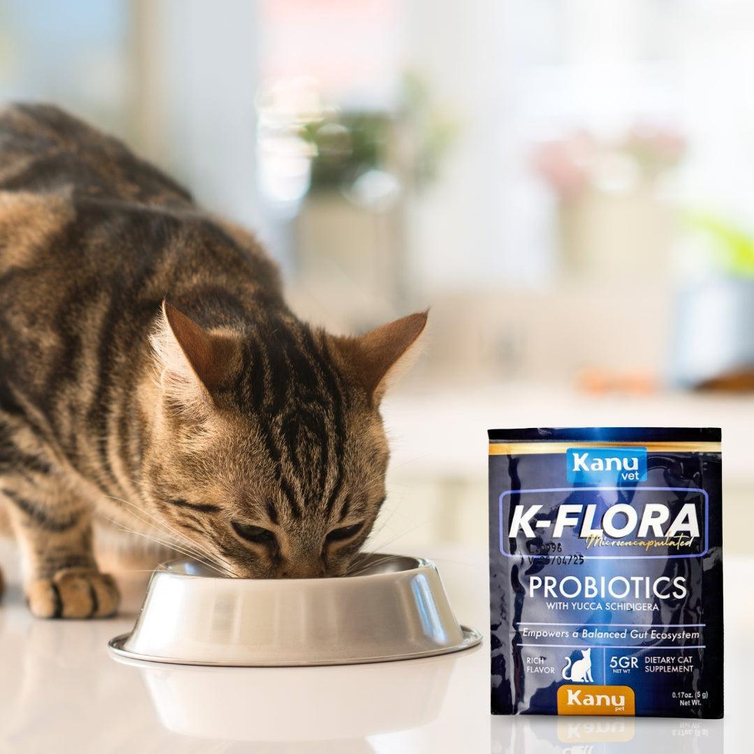 Suplemento Probiótico para gatos K-Flora Sobre