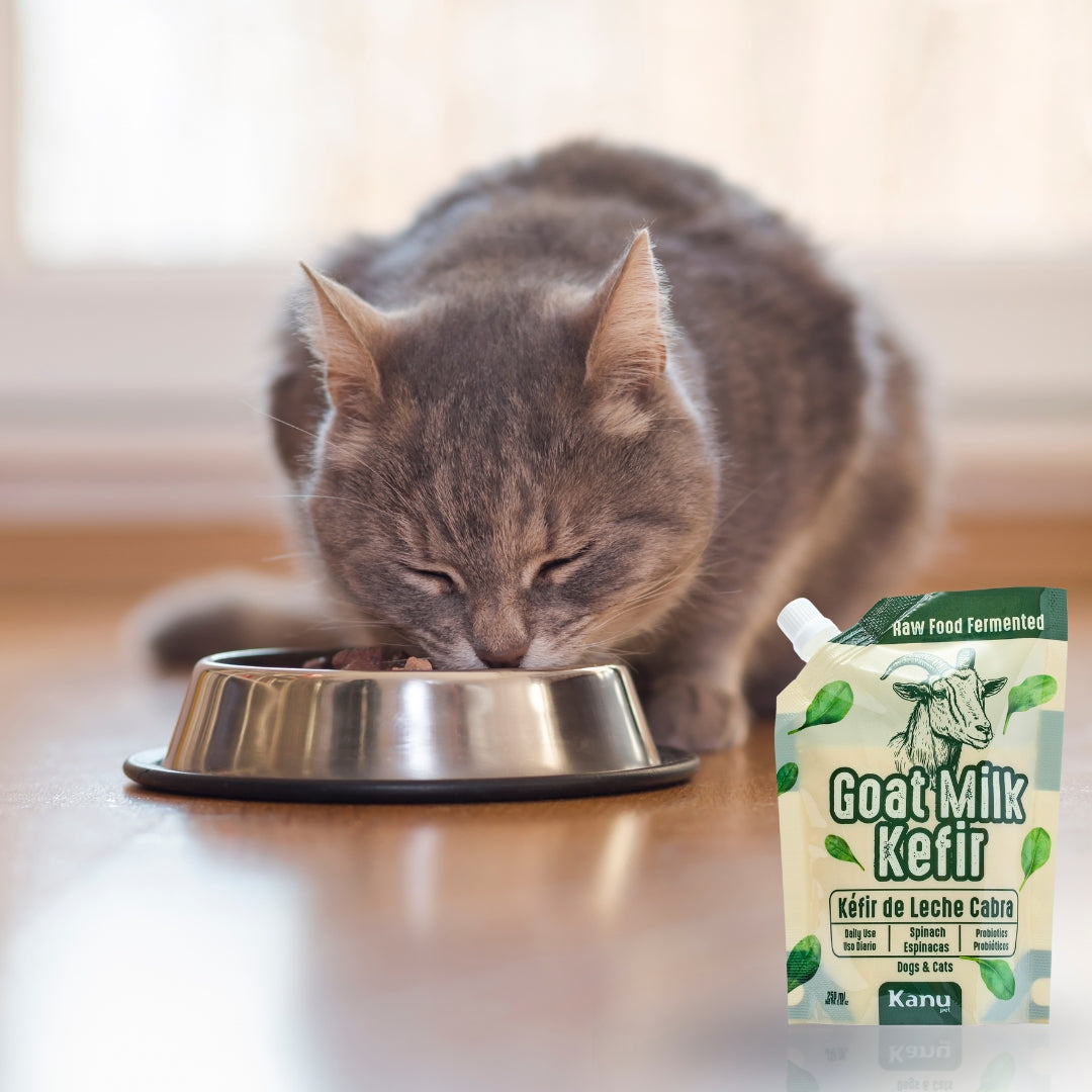 Kéfir Leche de cabra Espinaca Kanu Pet  para Perro y Gato Bolsa