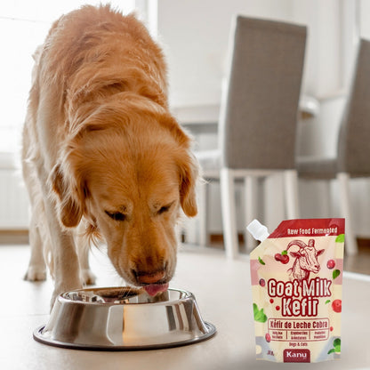Kéfir Leche de cabra  Arándanos Kanu Pet para Perro y Gato Bolsa