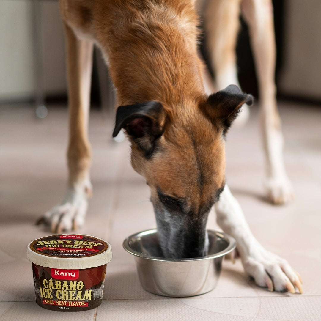Helado de Cábano Kanu Pet para Perro y Gato