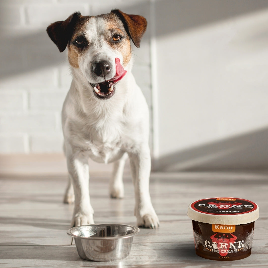 Kanu Helado Carne Para Perro y Gato