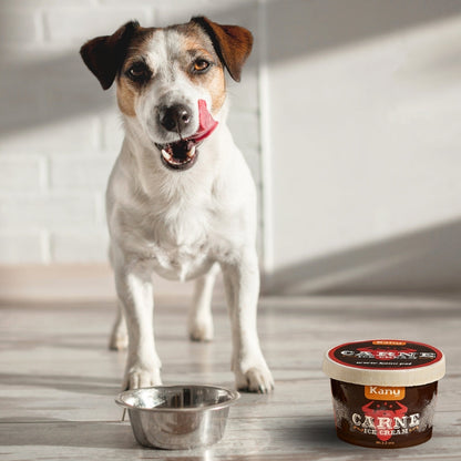 Kanu Helado Carne Para Perro y Gato