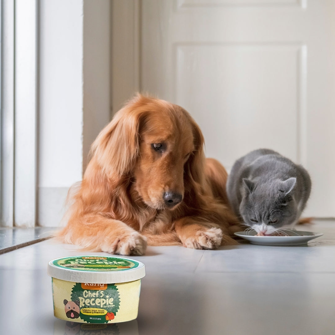 Kanu Helado Chef Recipe Calabaza Para Perro y Gato
