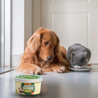 Kanu Helado Chef Recipe Calabaza Para Perro y Gato