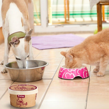 Kanu Helado Galleta Pollo Para Perro y Gato