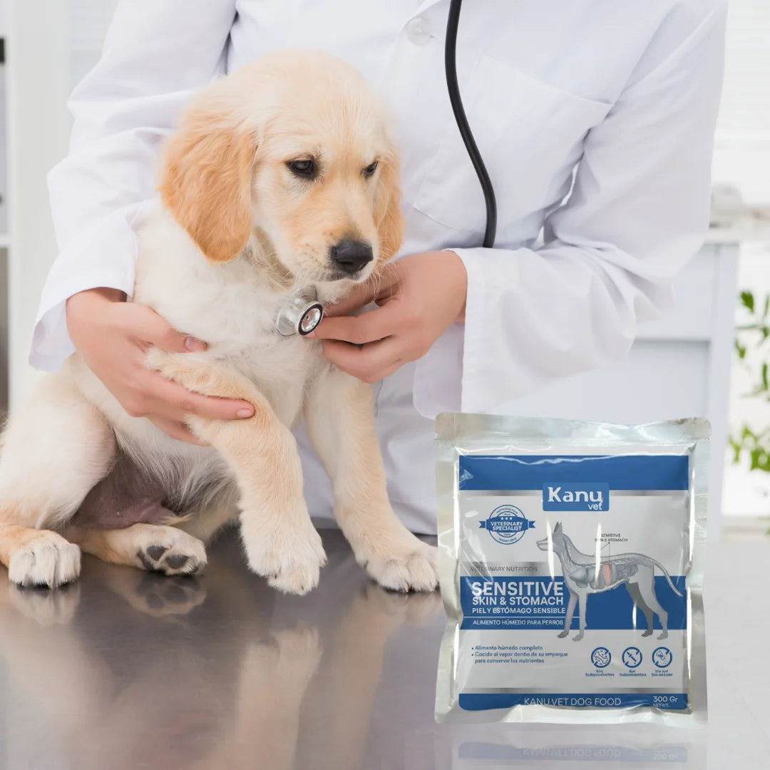 Alimento Húmedo Medicado Kanu Vet Skin & Stomach para Perros Adultos