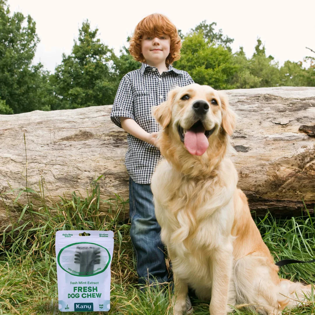 Snack Cepillo Dental Fresh Medium Kanu Pet para Perros Sabor a Menta