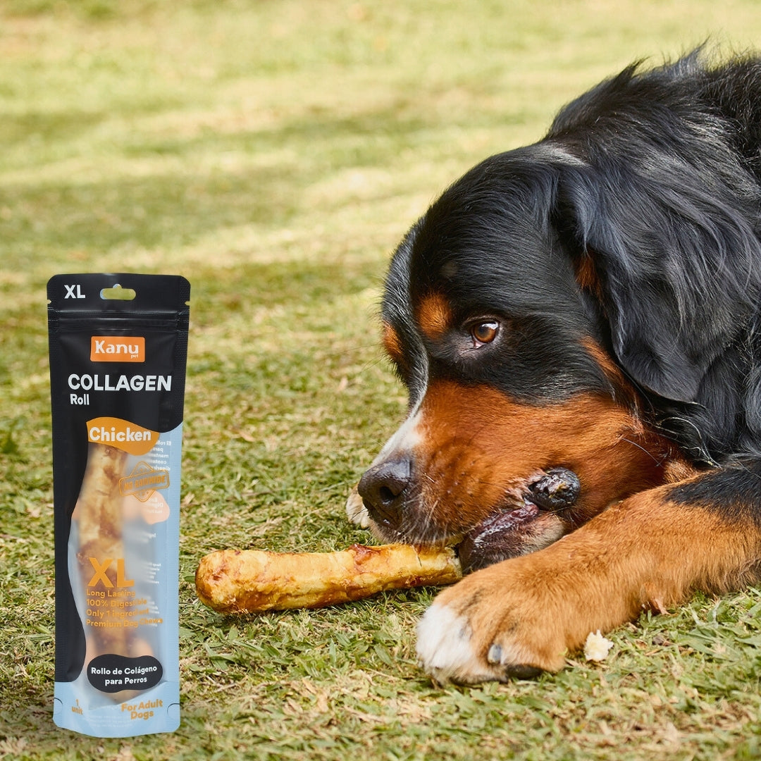 Snack Rollo de Colágeno XL de Pollo Kanu Pet para Perro . No es Carnaza