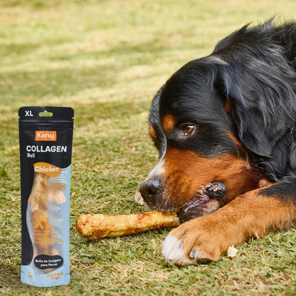 Snack Rollo de Colágeno XL de Pollo Kanu Pet para Perro . No es Carnaza