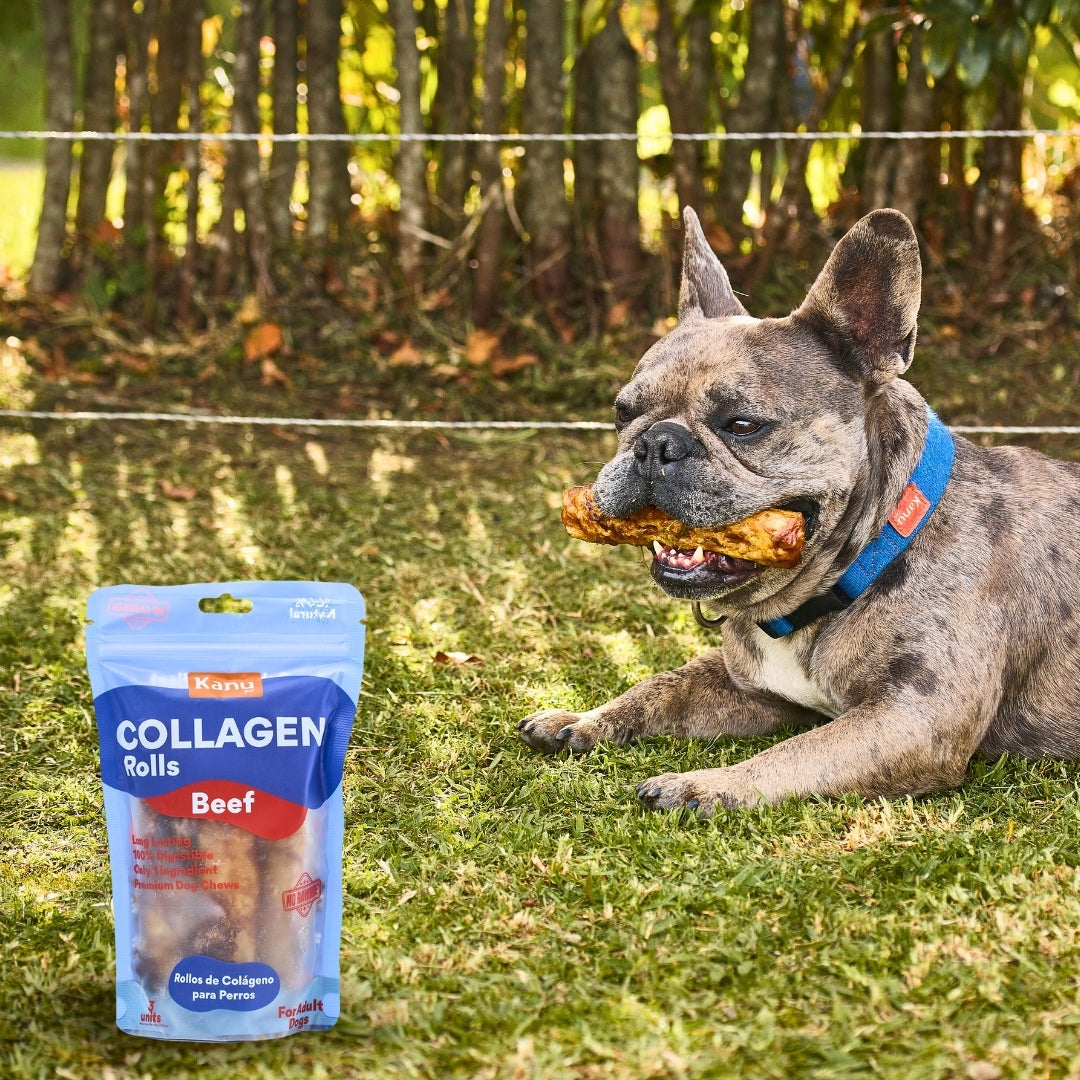 Snack Rollos de Colágeno Kanu Pet de Res para Perro. No es Carnaza 3 Unds