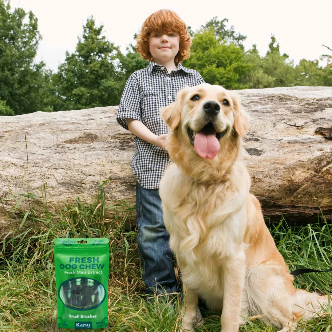 Snack Cepillo Dental Fresh Small Kanu Pet para Perros Sabor a Menta