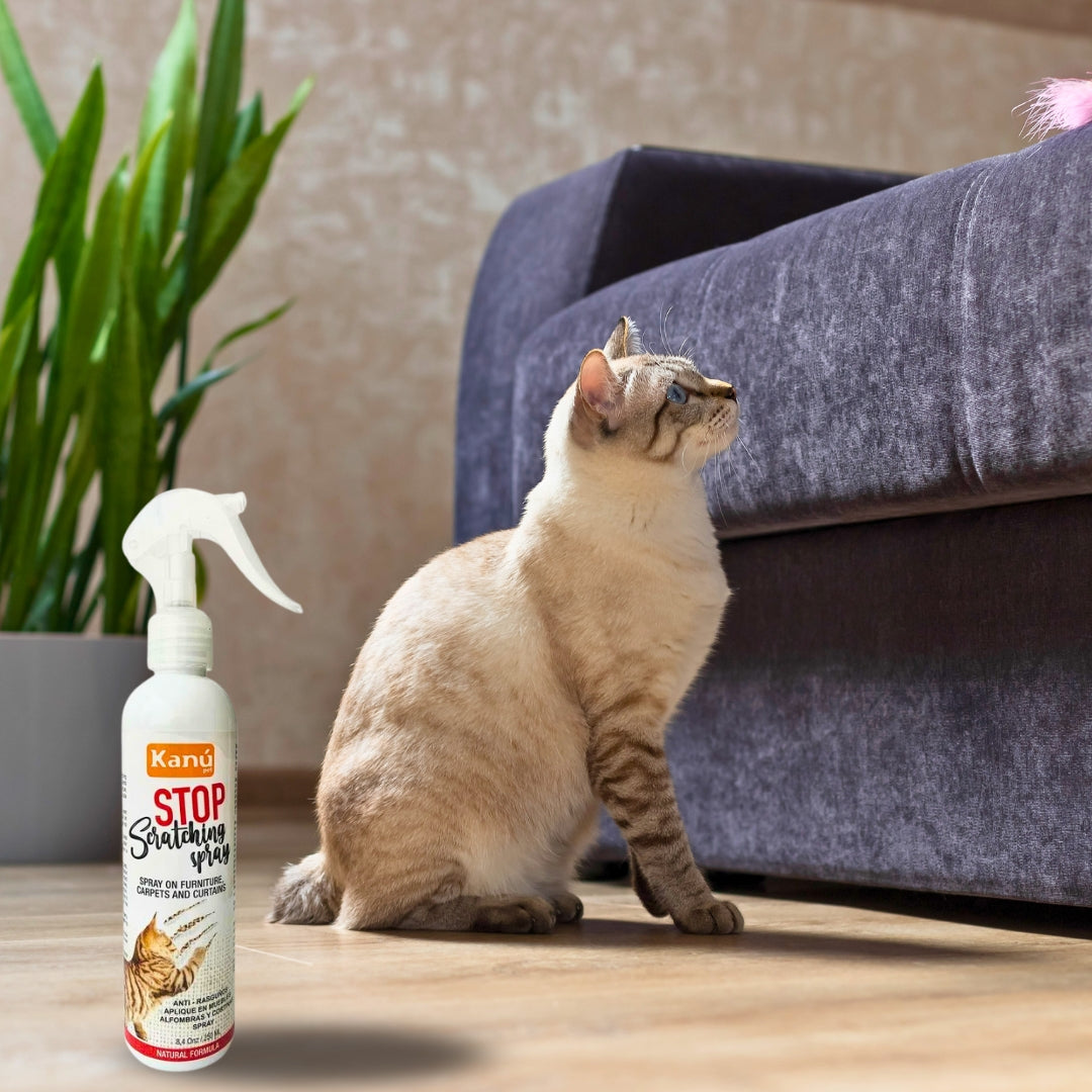 Spray de Entrenamiento Stop Scratching Kanu Pet para Gato