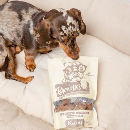 Galletas Brownies Kanu Pet para perros