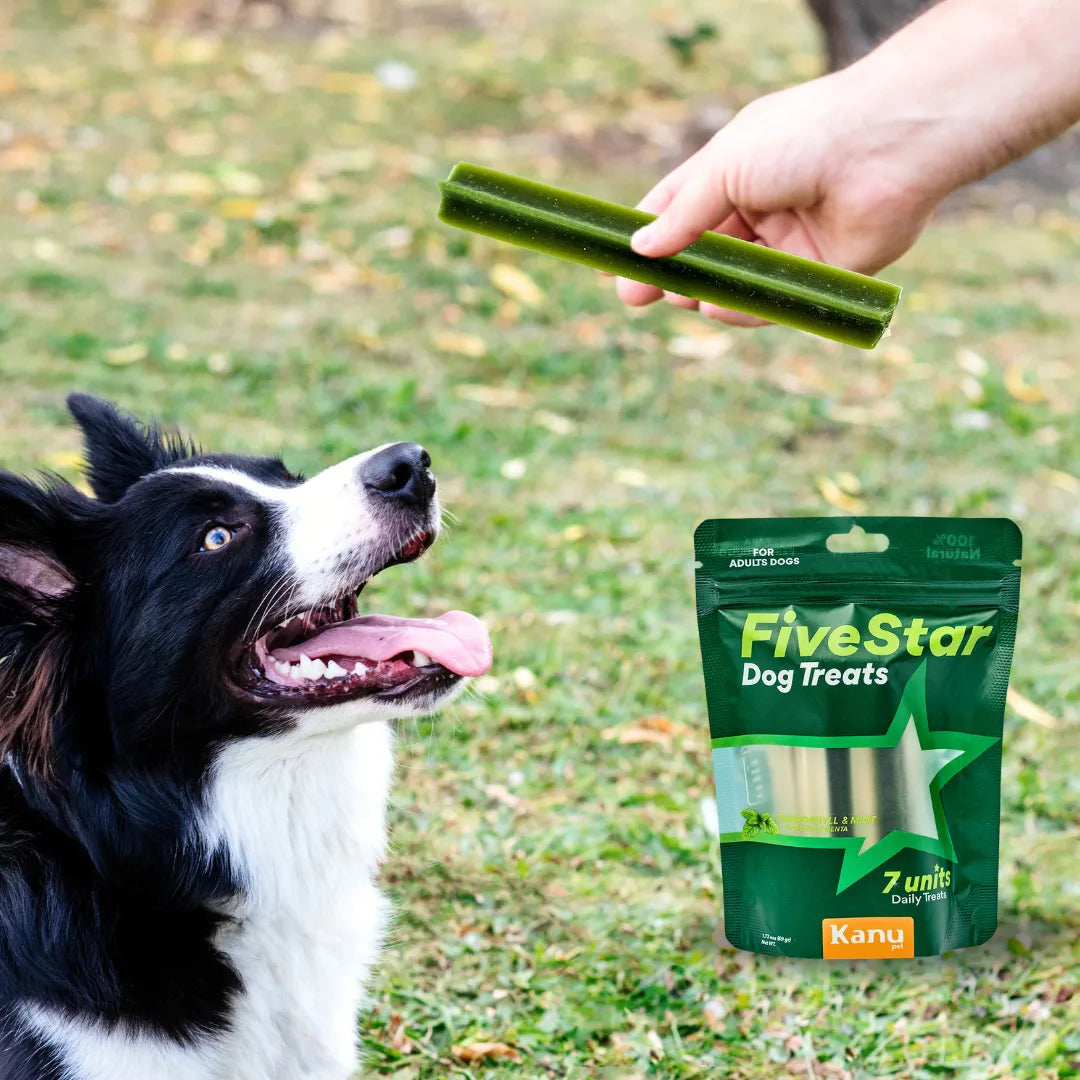 Snack Five Star Dental para la placa y el sarro Kanu Pet  para Perros