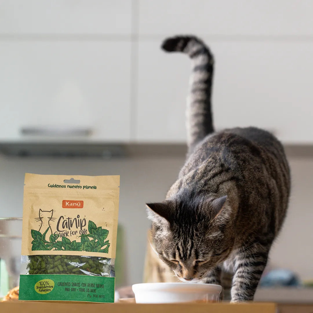 Snacks Galletas Catnip Kanu Pet para Gato