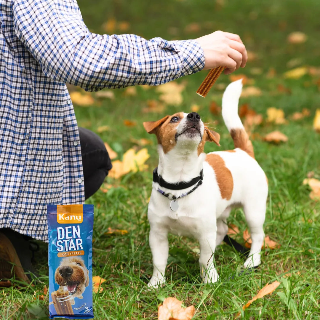 Snack Dent Star para la placa y el sarro Kanu Pet Sabor a Menta para Perro