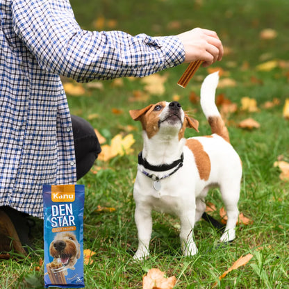 Snack Dent Star para la placa y el sarro Kanu Pet Sabor a Menta para Perro