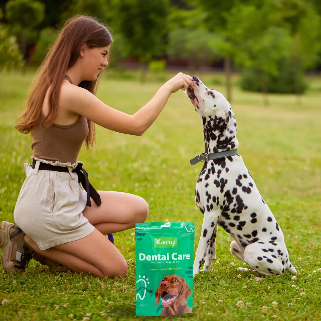 Nuggets Dental Care para la placa y el sarro Kanu Pet para Perro
