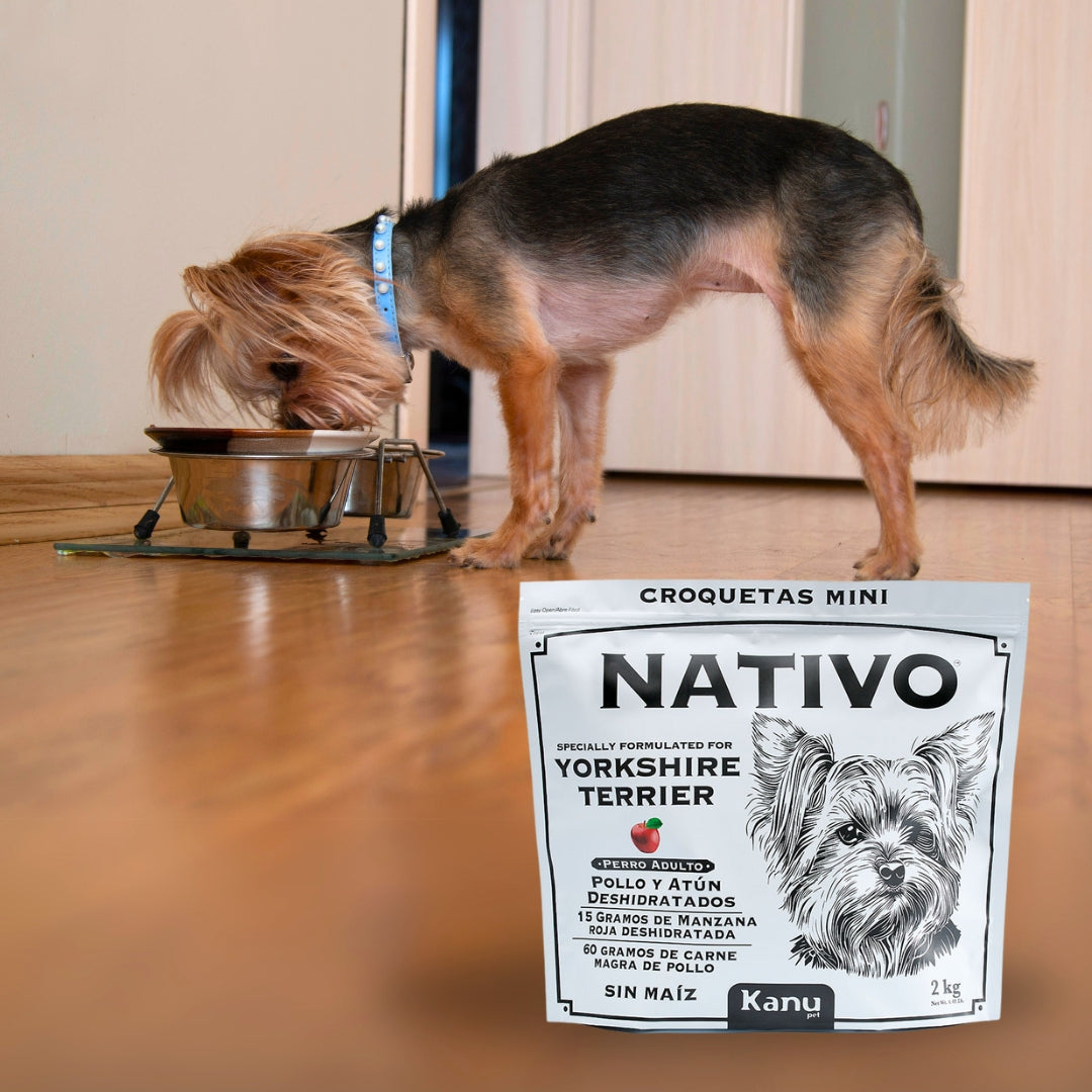 Alimento Nativo Yorkshire Terrier Adulto 2kg Kanu Pet para Perro Nutrición Premium