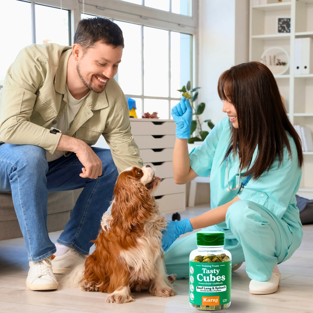 Kanu Pet Tasty Cubes de Espinaca Liofilizada para Perros, Ideales para Entrenar, Bajas en Calorías y Llenas de Sabor
