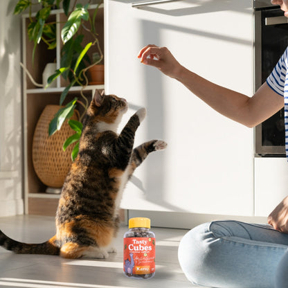 Snack Liofilizado Tasty Cubes Arándanos y Zanahoria Kanu Pet para Gatos, Bajas en Calorías