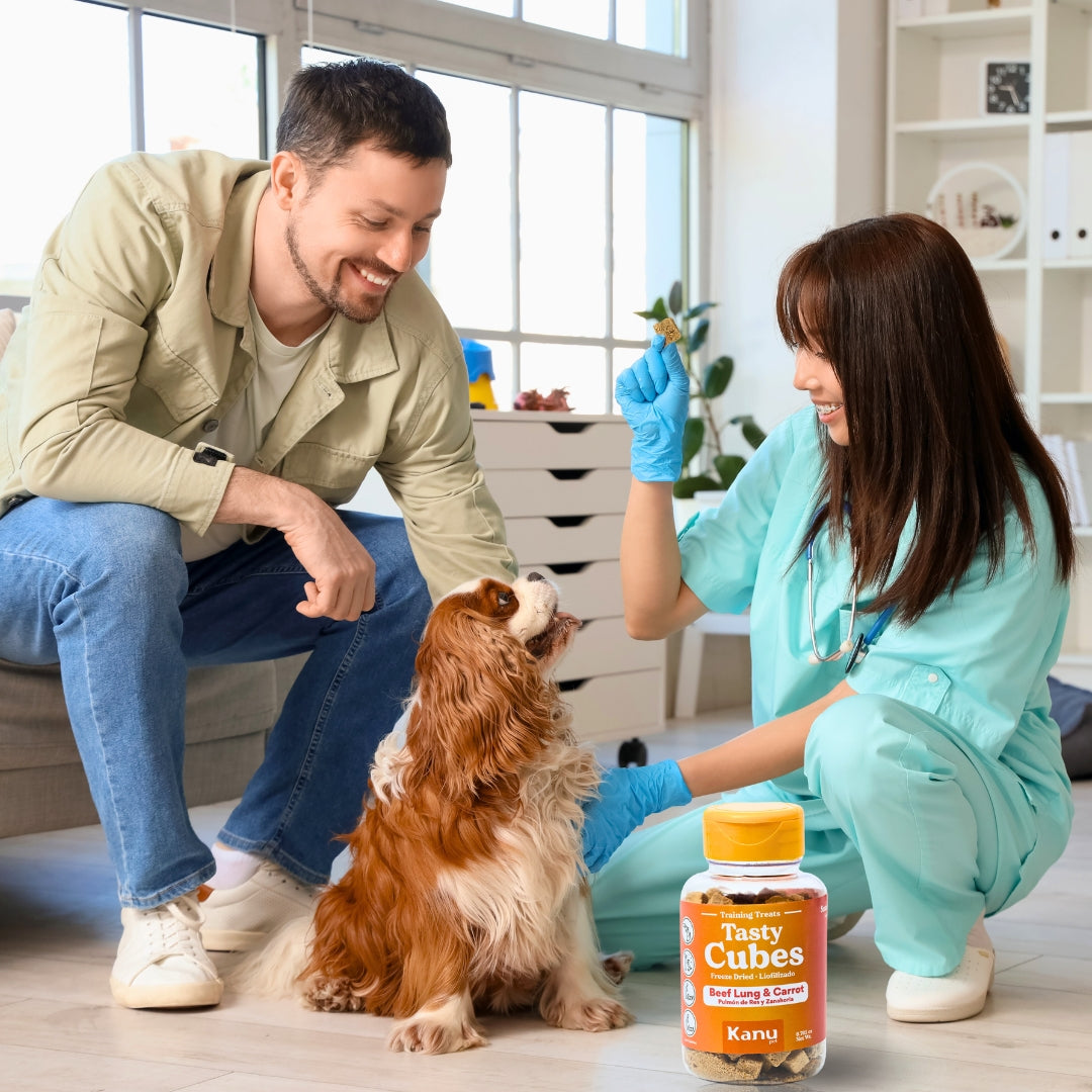 Kanu Pet Tasty Cubes de Zanahoria Liofilizada para Perros, Snack Natural, Bajo en Calorías, Ideal para Entrenar y Recompensar a tu Mascota