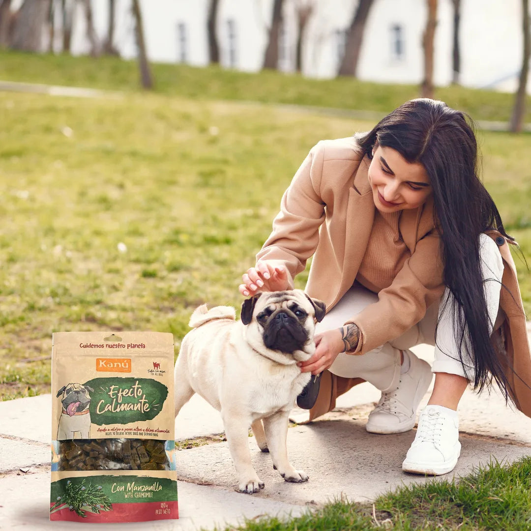 Galleta Efecto Calmante Kanu Pet para perros