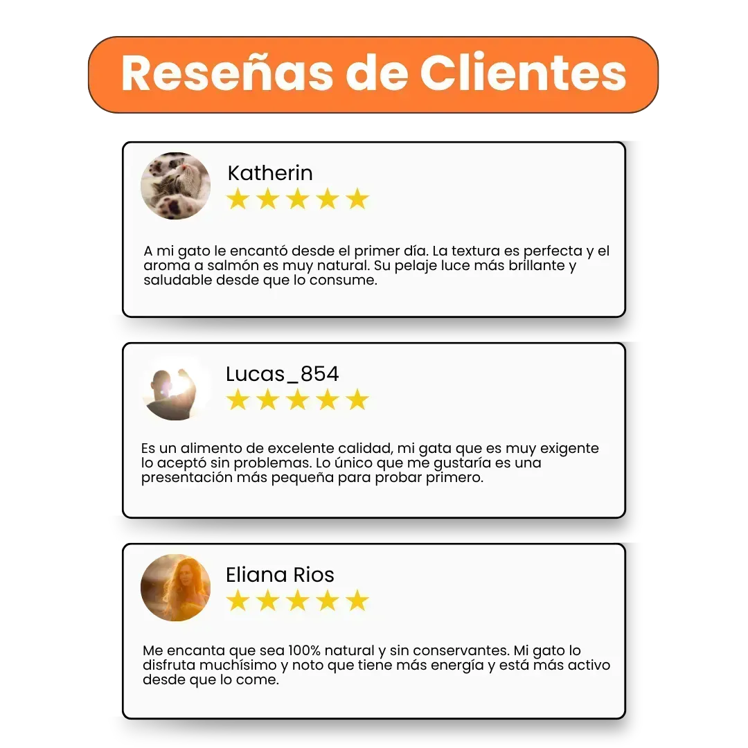 Alimento Húmedo Pate de Salmón Kanu Pet para Gatos