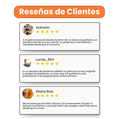Alimento Húmedo Pate de Salmón Kanu Pet para Gatos