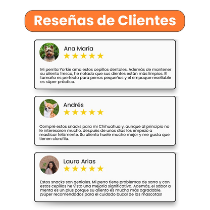 Snack Cepillo Dental Fresh Small Kanu Pet para Perros Sabor a Menta