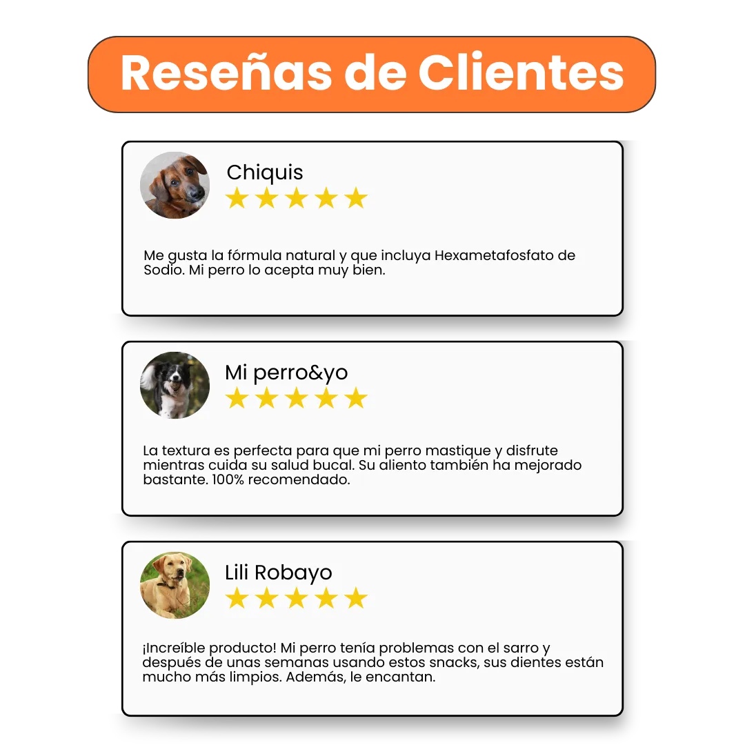 Nuggets Dental Care para la placa y el sarro Kanu Pet para Perro