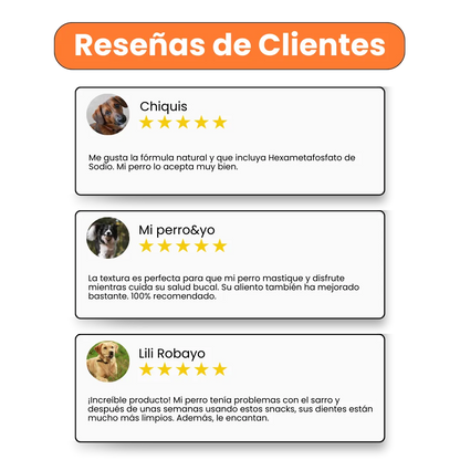 Nuggets Dental Care para la placa y el sarro Kanu Pet para Perro