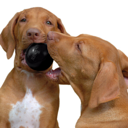 Pelota caucho kong extreme small para perro
