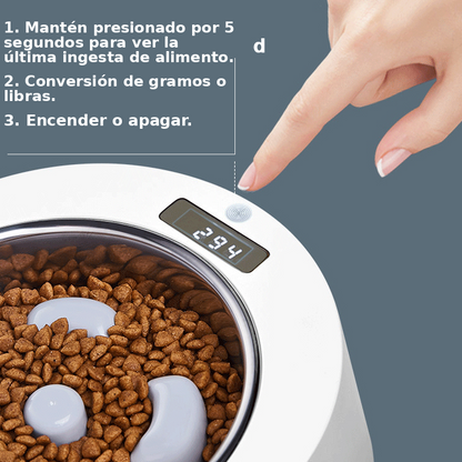 Comedero Anti-reflujo con Pesa Kanu Pet para Perro