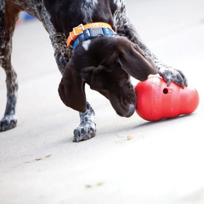 Portapasabocas kong wobbler para perro XS
